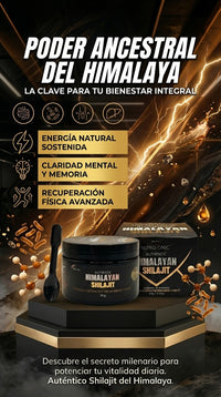 SHILAJIT HIMALAYAN Natural ENERGIA SUPERIOR 2X1 2